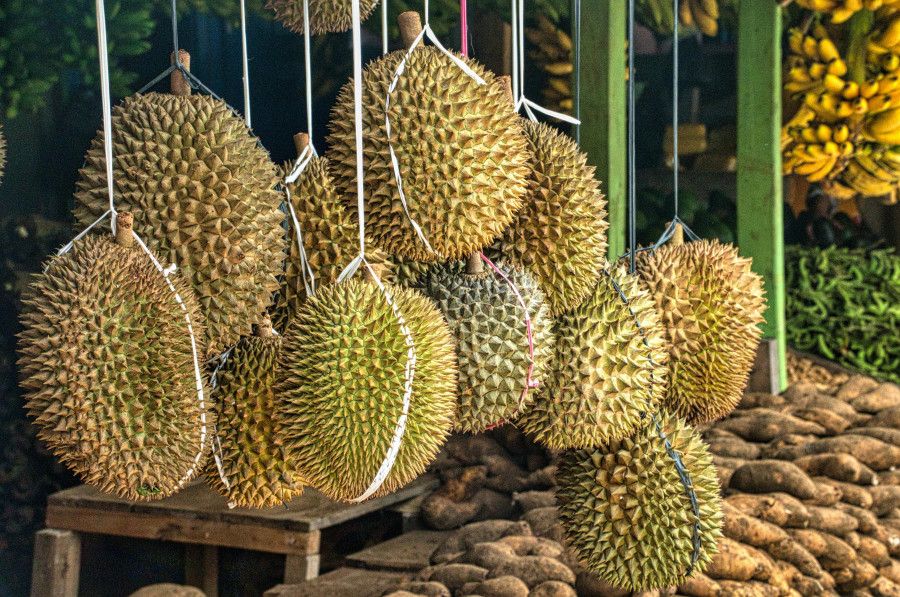 11 Fakta Menarik tentang Durian, Si Raja Buah Asia Tenggara