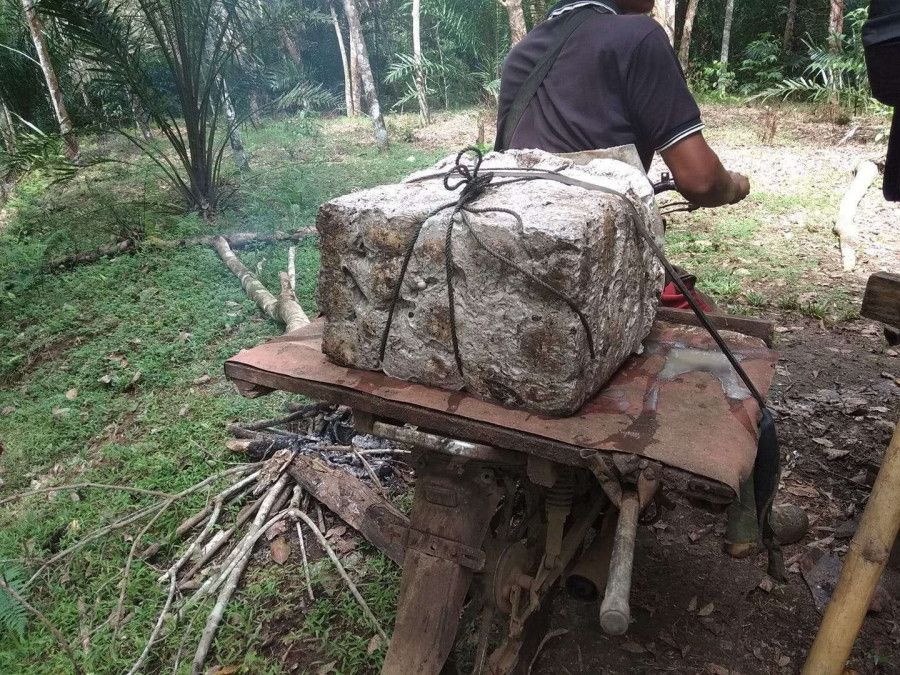 Harga Karet di Bengkulu Melonjak ke Rp15.000/Kg, Petani Bersyukur dan Berharap Kestabilan