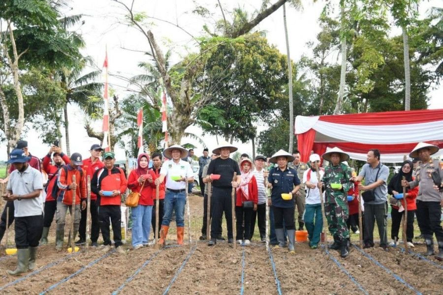 Lahan Tidur Disulap Jadi Lumbung Pangan, Wali Kota Dedy Pimpin Tanam Jagung dan Sebar 3.000 Bibit Buah Gratis di Danau Dendam